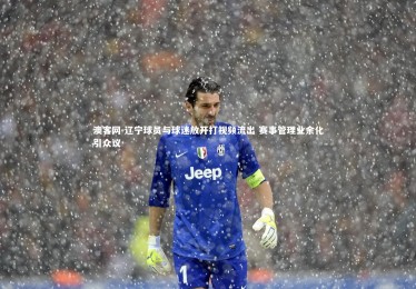 澳客网-辽宁球员与球迷放开打视频流出 赛事管理业余化引众议